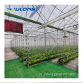 Sistema de hidroponia vegetais PC Greenhouse